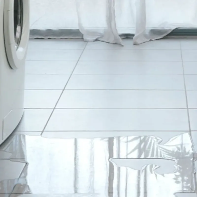 Appliance Leak Cleanup in Lockport, IL