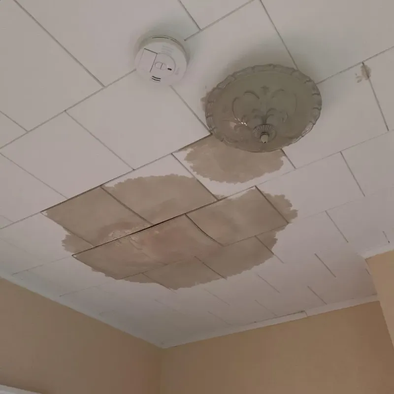 Ceiling Water Damage Repair in Lockport, IL