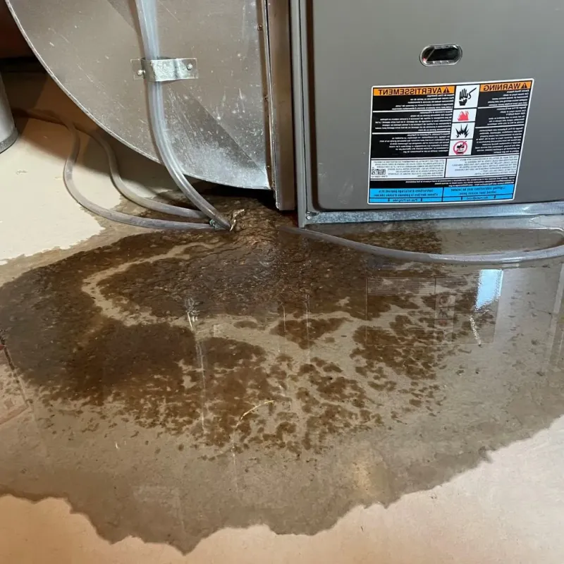 Pipe Burst and Leak Restoration in Lockport, IL